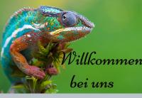 ImgFromURL