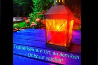 ImgFromURL