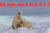 ImgFromURL