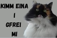 ImgFromURL