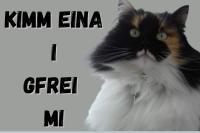ImgFromURL