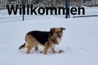 ImgFromURL