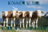 ImgFromURL