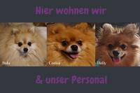 ImgFromURL