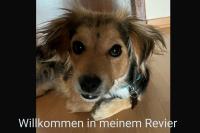 ImgFromURL
