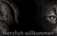 ImgFromURL