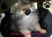 ImgFromURL