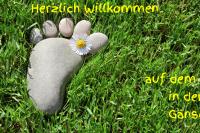 ImgFromURL