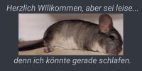 ImgFromURL