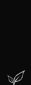 ImgFromURL