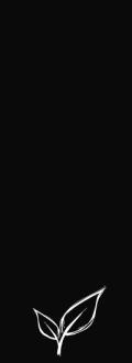 ImgFromURL