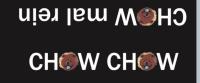 ImgFromURL