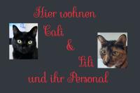 ImgFromURL