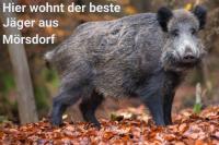 ImgFromURL