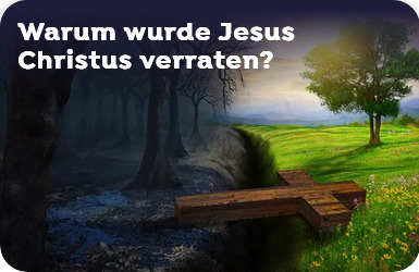 Screenshot_2024-01-17_at_06-26-02_Warum_hat_Jesus_Christus_Wunder_vollbracht_creedle_rockc