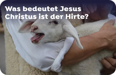 Screenshot_2024-01-21_at_15-50-15_Warum_hat_Jesus_Christus_Wunder_vollbracht_creedle_rockc