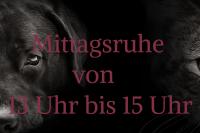 ImgFromURL